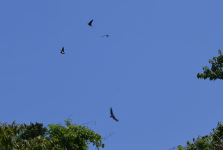 0416cn゙0195.jpg